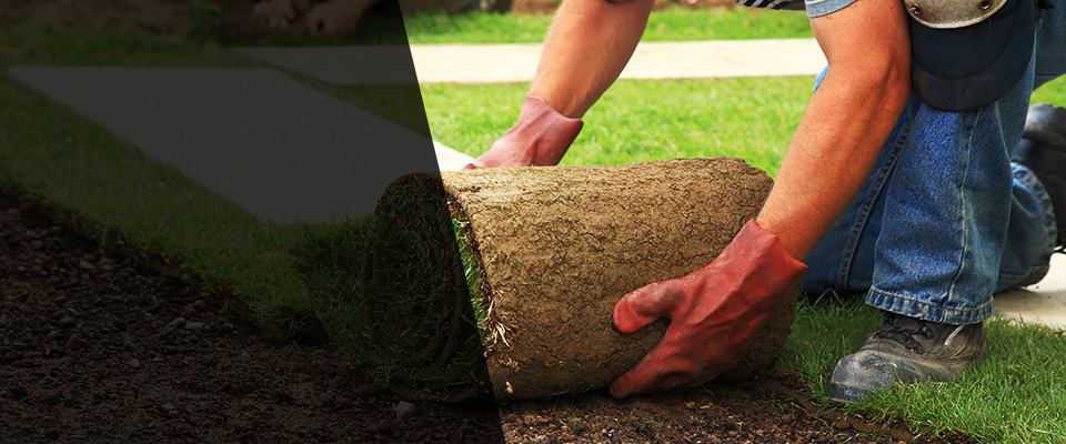 Belle Plaine Landscapers